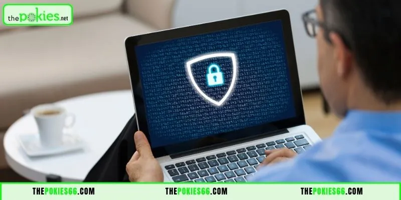 Overview of The Pokies66 Privacy Policy