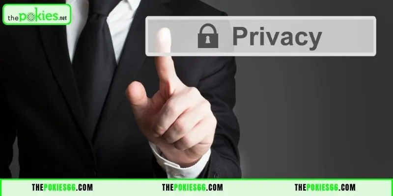 Summary of Terms in The Pokies66 Privacy Policy