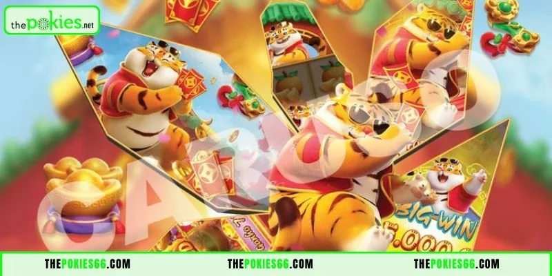 Wheres the Gold Pokies in 2026?